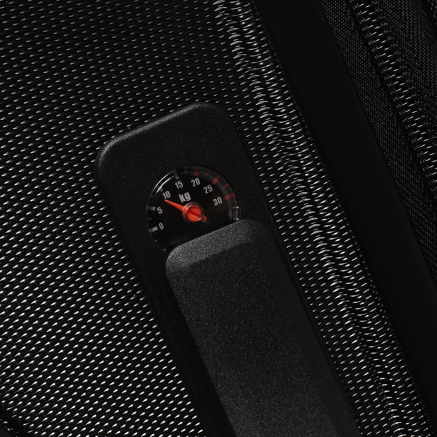 Чемодан большой L из поликарбоната Eberhart Lotus 2.0