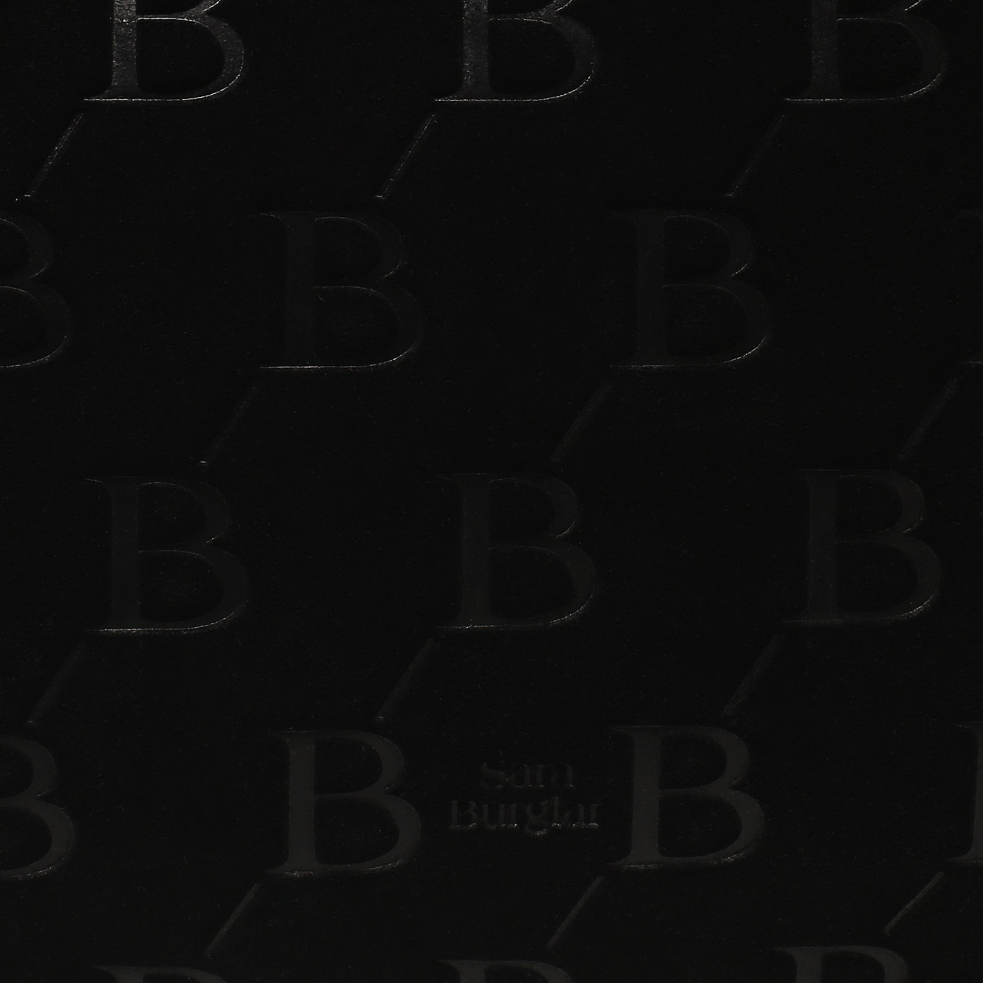 Кожаная сумка Sara Burglar Meghan Cam Person